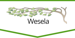 Wesela